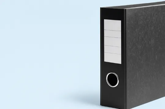 Profesionālie un IT-pakalpojumi