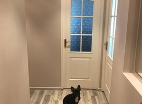 Vitālijs - darbu piemēri: Koridora remonts - foto Nr.1