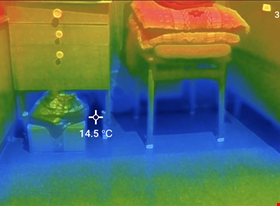 Emīls Rubīns - примеры работ: Termogrāfija - фото №7