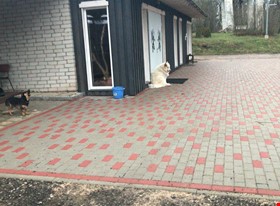 Janis Laganovskis - darbu piemēri: Brugis - foto Nr.3