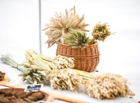 Atis Sīlis - darbu piemēri: Korporatīvs pasākums senlatviešu stilā - Reiņa trase, Siguldā - foto Nr.11