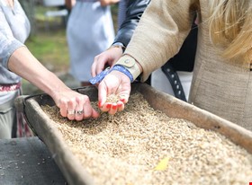 Atis Sīlis - darbu piemēri: Korporatīvs pasākums senlatviešu stilā - Reiņa trase, Siguldā - foto Nr.5