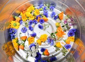 Atis Sīlis - darbu piemēri: Korporatīvs pasākums senlatviešu stilā - Reiņa trase, Siguldā - foto Nr.4