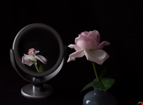 Jelena A. - darbu piemēri: Priekšmetu fotografēšana - foto Nr.10