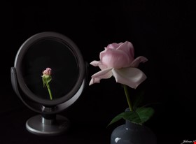 Jelena A. - darbu piemēri: Priekšmetu fotografēšana - foto Nr.11