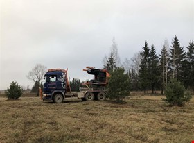 Audrius L. - darbu piemēri: Pārstādīšana lieliem kokiem.  - foto Nr.1