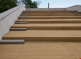 Māris Jermaks - darbu piemēri: Dobeles mūzikas skola - foto Nr.3