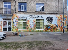 Dzintars A. - darbu piemēri: Skaistumkopšanas salons Jelgavā - foto Nr.1