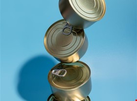 laura sproģe - darbu piemēri: Produktu fotogrāfija - foto Nr.7