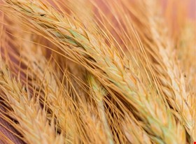 Kate T. - darbu piemēri: Produktu fotogrāfija - uzņēmuma foto - foto Nr.10