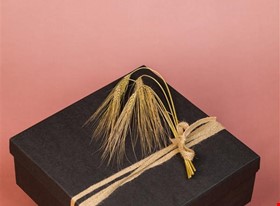 Kate T. - darbu piemēri: Produktu fotogrāfija - uzņēmuma foto - foto Nr.8