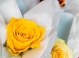 Kate T. - darbu piemēri: Produktu fotogrāfija - uzņēmuma foto - foto Nr.11