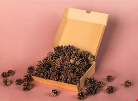 Kate T. - darbu piemēri: Produktu fotogrāfija - uzņēmuma foto - foto Nr.3