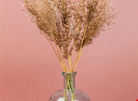 Kate T. - darbu piemēri: Produktu fotogrāfija - uzņēmuma foto - foto Nr.4