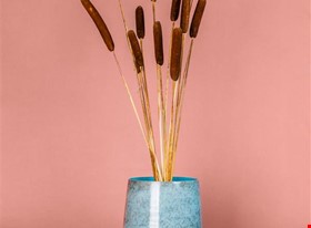 Kate T. - darbu piemēri: Produktu fotogrāfija - uzņēmuma foto - foto Nr.7