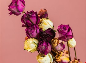 Kate T. - darbu piemēri: Produktu fotogrāfija - uzņēmuma foto - foto Nr.9