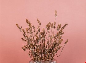 Kate T. - darbu piemēri: Produktu fotogrāfija - uzņēmuma foto - foto Nr.2