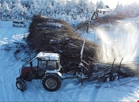 Tava Vide  - примеры работ: Apauguma novākšana. Pilns cikls. - фото №4